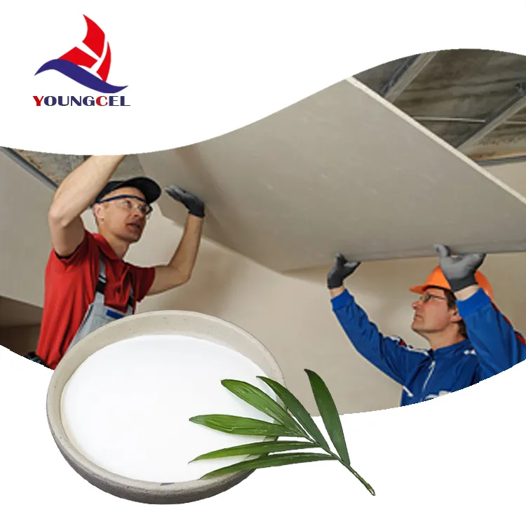Tile Adhesive Chemical Hydroxypropyl Methyl Cellulose for Plaster Additives HPMC